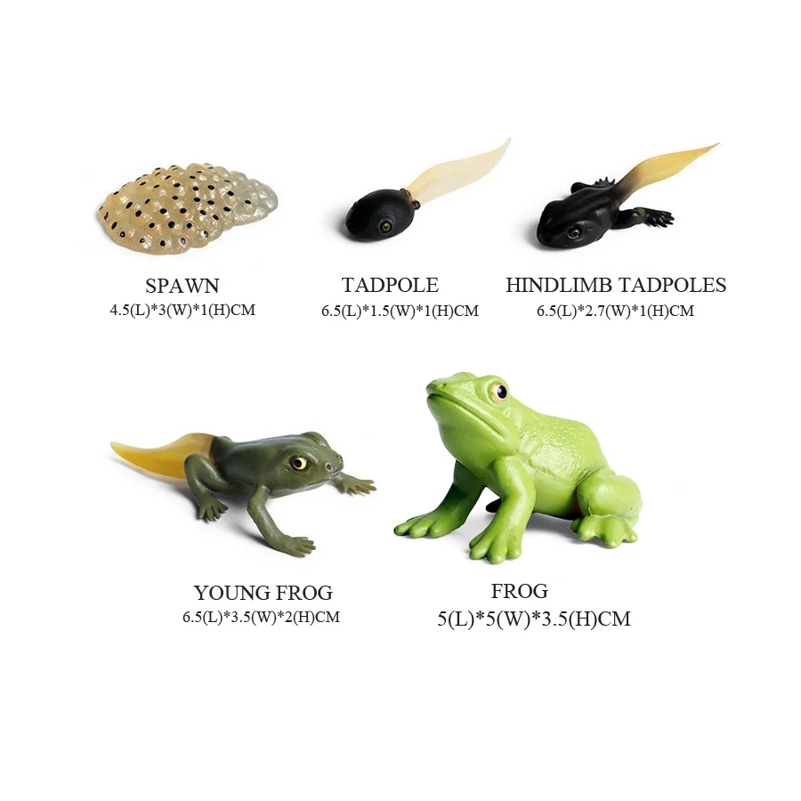 Frogs Models Wild Animals Figu - Kids Toys Reviews recension och pris